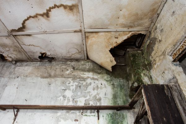 Water Damage Service in Longmont