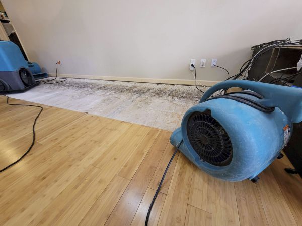 Water Damage Mitigation in Longmont