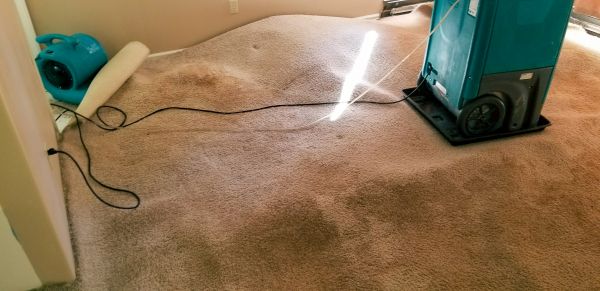 Flood Damage Cleanup in Longmont