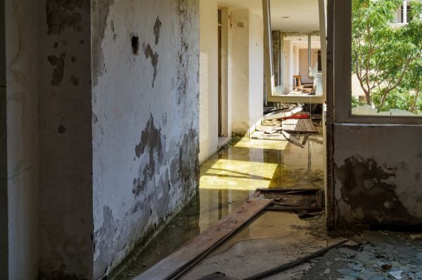 Water Removal Service in Longmont