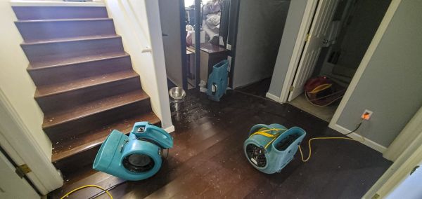 Water Damage Remediation in Longmont