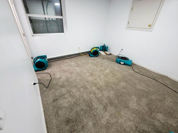Flood Restoration Service in Longmont