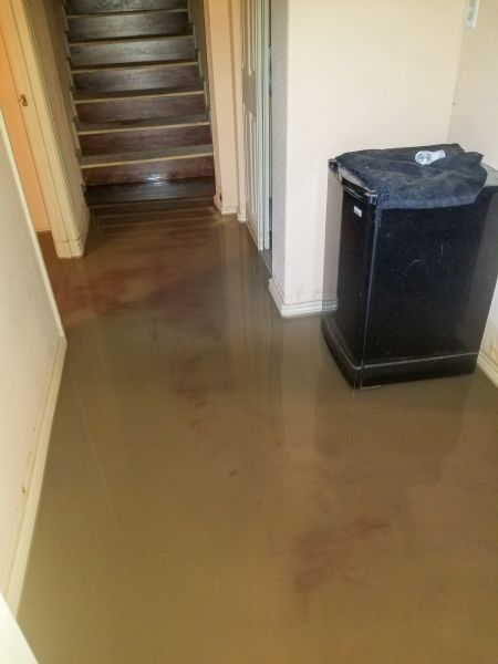 Emergency Water Removal in Longmont