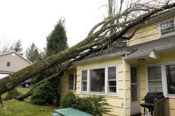 Hurricane Damage Repair in Longmont